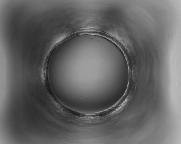 X0000093731405200710161108