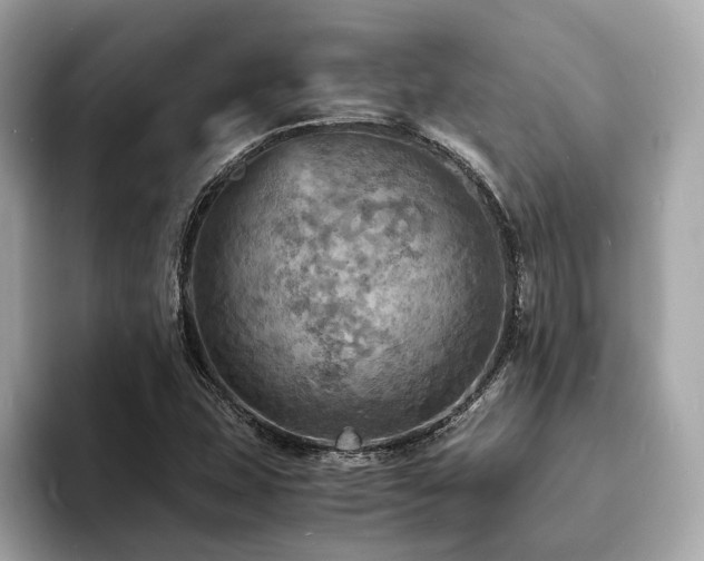 X0000093731407200710161108