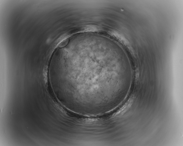 X0000093731409200710161108