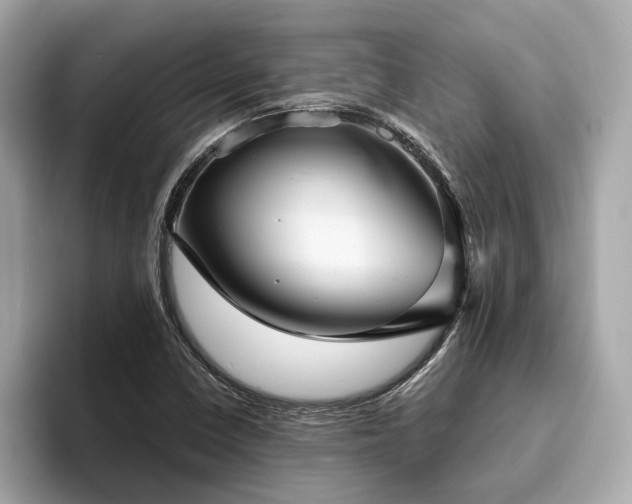 X0000093731410200710161108