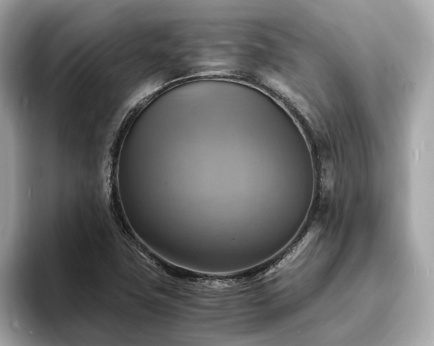 X0000093731411200710161108