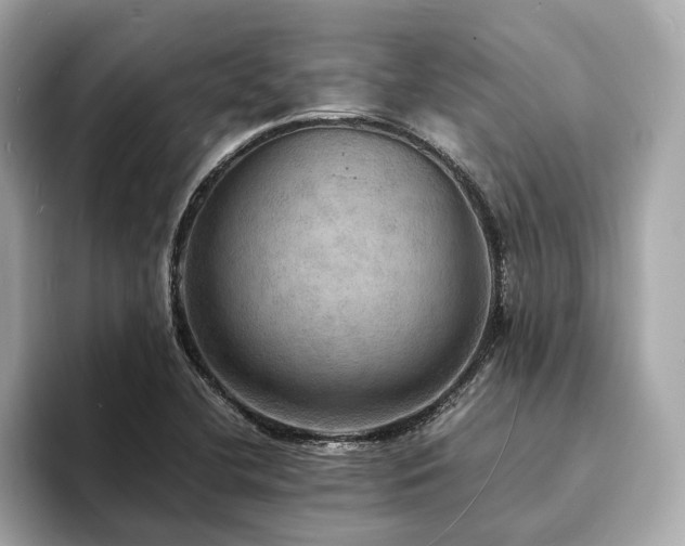 X0000093731412200710161108