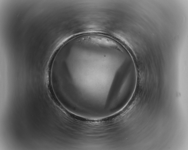 X0000093731415200710161108