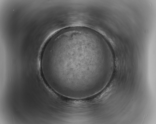 X0000093731416200710161108