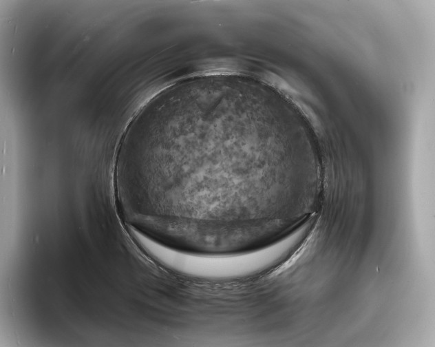 X0000093731417200710161108