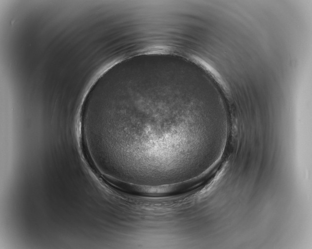 X0000093731418200710161108