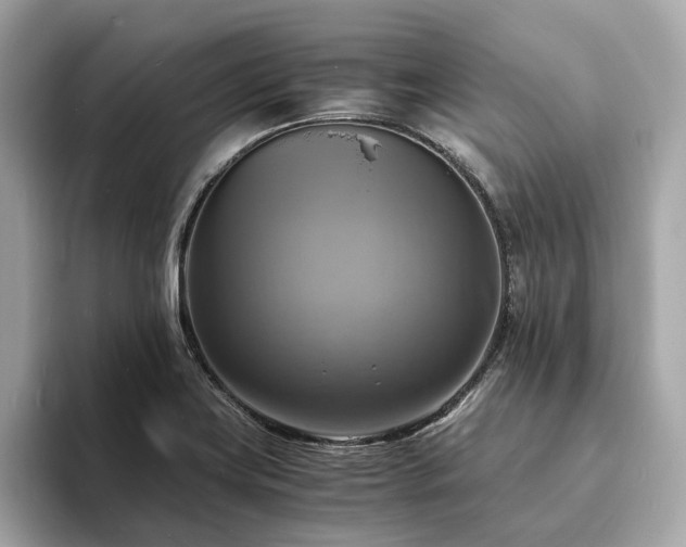 X0000093731419200710161108