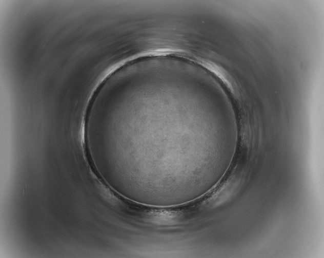 X0000093731420200710161108
