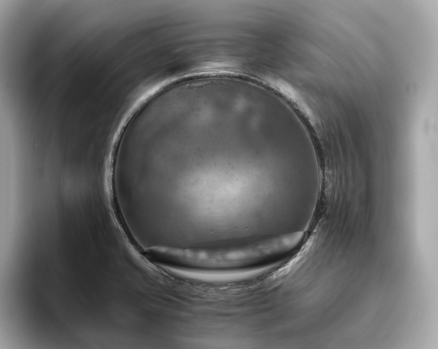 X0000093731421200710161108