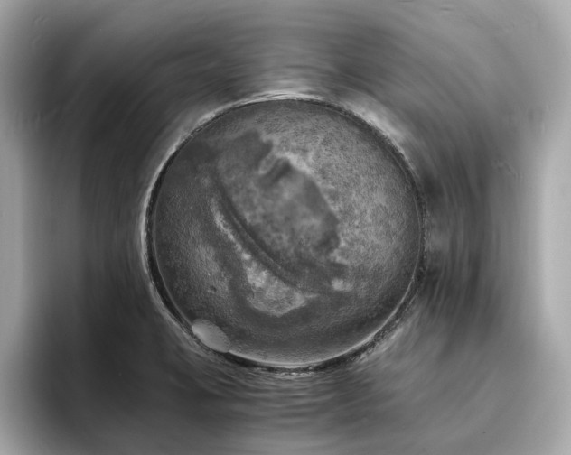 X0000093731423200710161108
