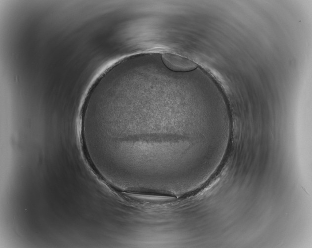 X0000093731424200710161108