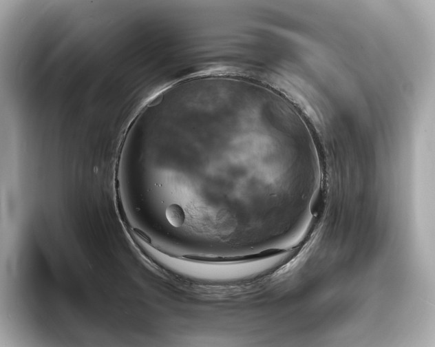 X0000093731425200710161108