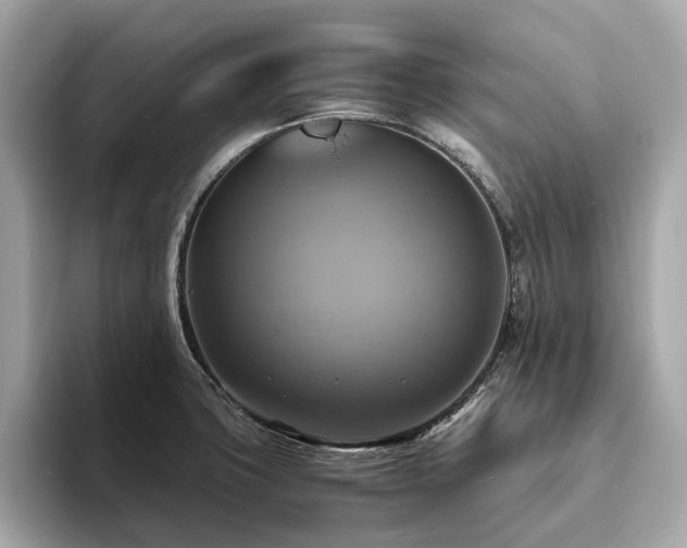X0000093731427200710161108