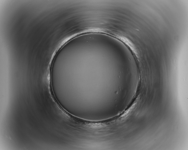 X0000093731428200710161108