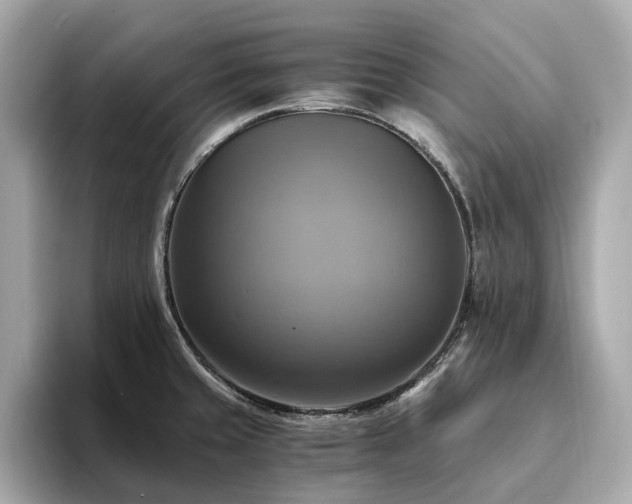 X0000093731429200710161108