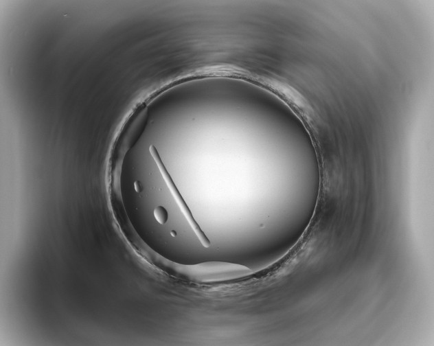 X0000093731430200710161108