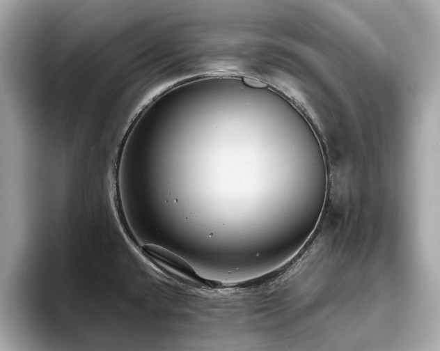 X0000093731432200710161108