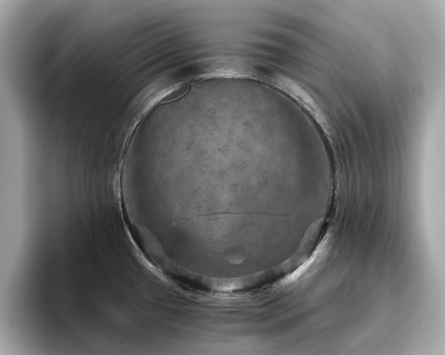 X0000093731433200710161108
