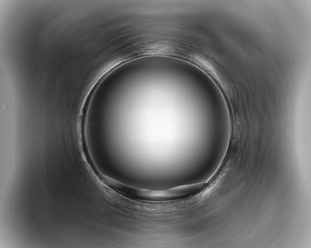 X0000093731434200710161108