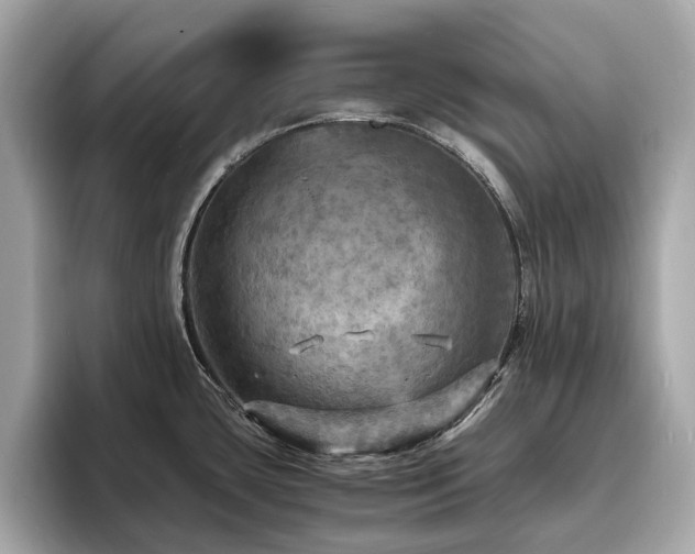 X0000093731435200710161108
