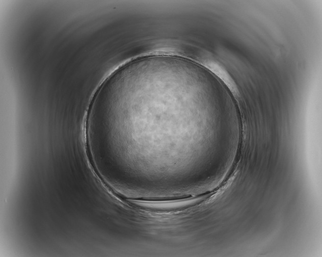 X0000093731436200710161108