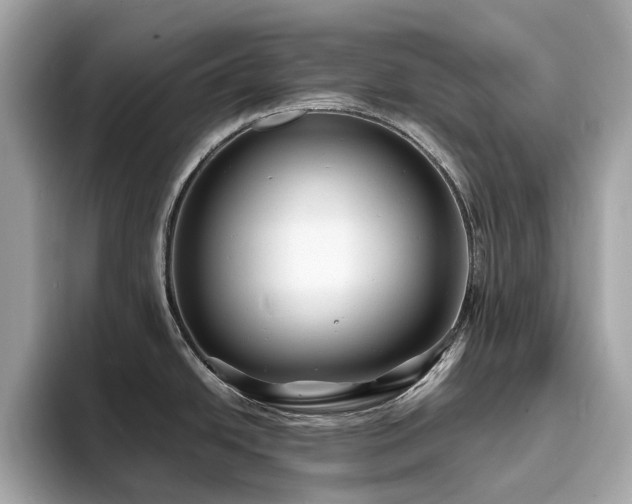 X0000093731438200710161108