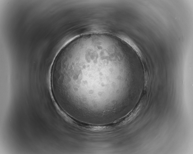 X0000093731439200710161108