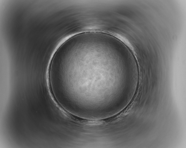 X0000093731440200710161108