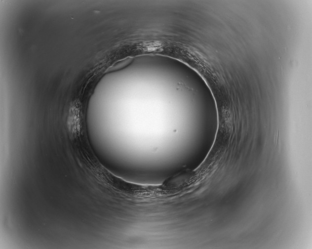 X0000093731442200710161108
