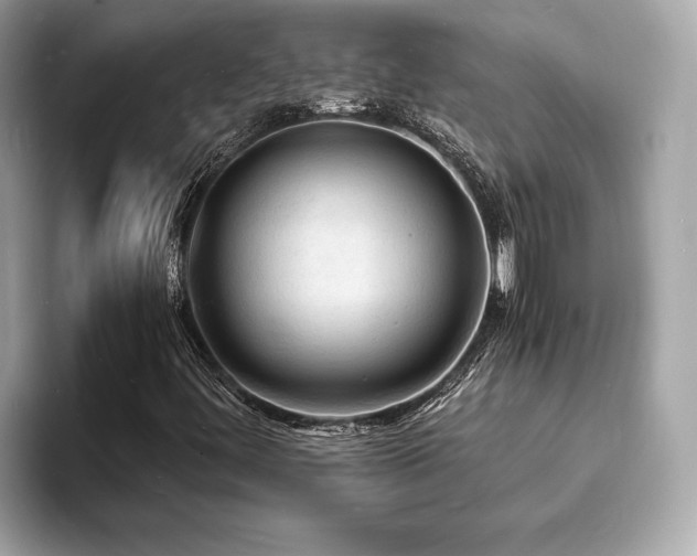 X0000093731444200710161108