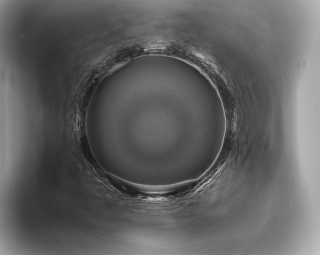 X0000093731445200710161108