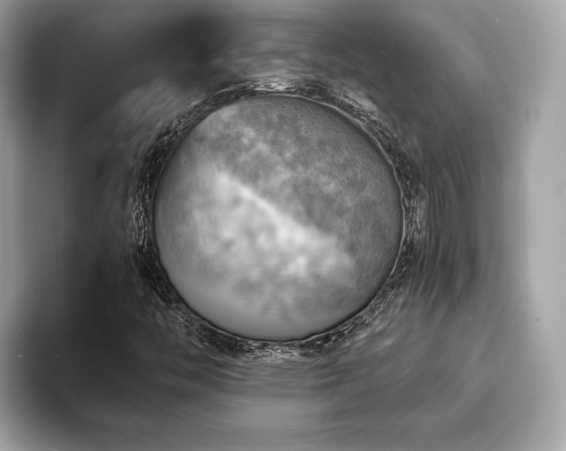 X0000093731446200710161108
