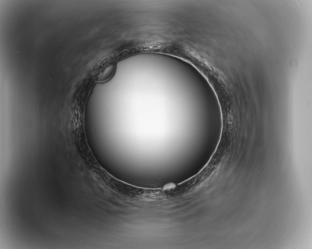 X0000093731447200710161108