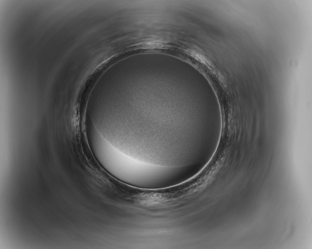 X0000093731450200710161108