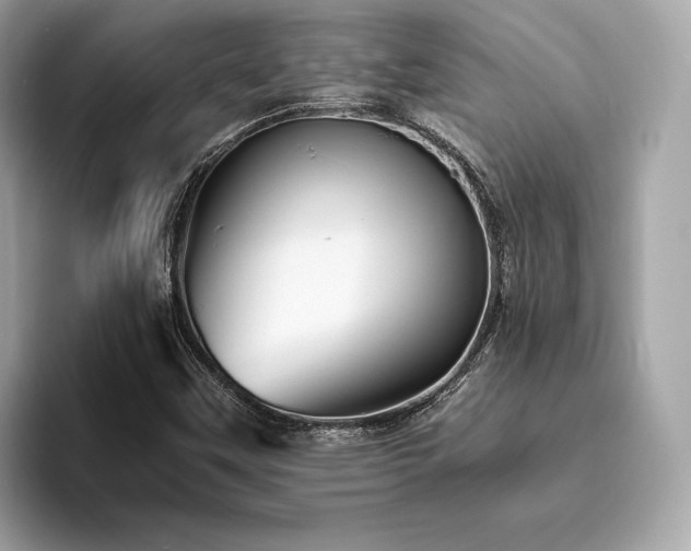 X0000093731451200710161108