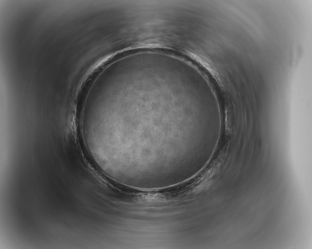 X0000093731452200710161108