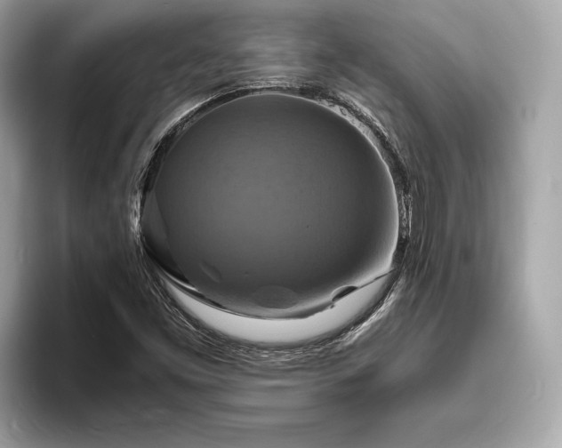 X0000093731453200710161108