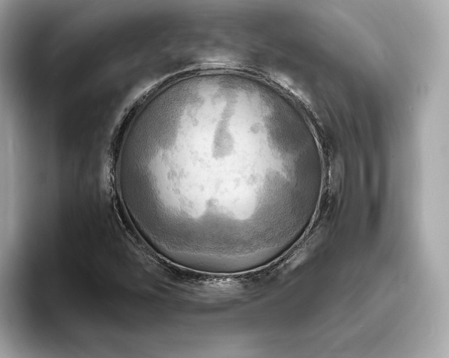 X0000093731454200710161108