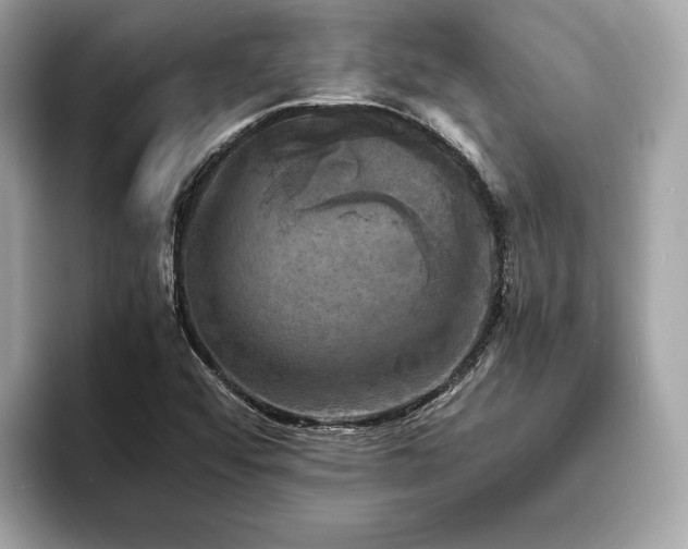 X0000093731456200710161108