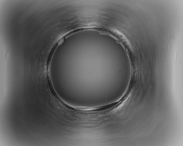 X0000093731457200710161108
