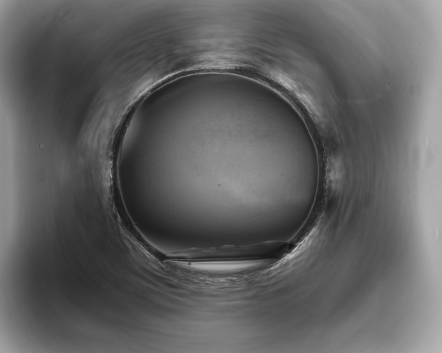 X0000093731459200710161108
