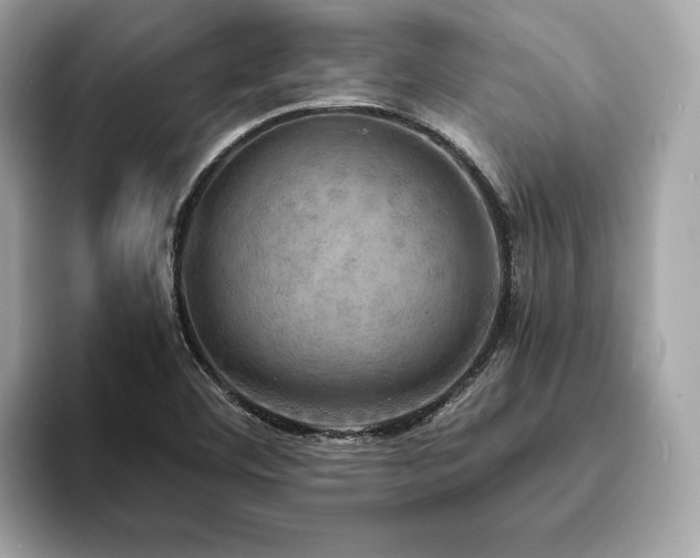 X0000093731460200710161108