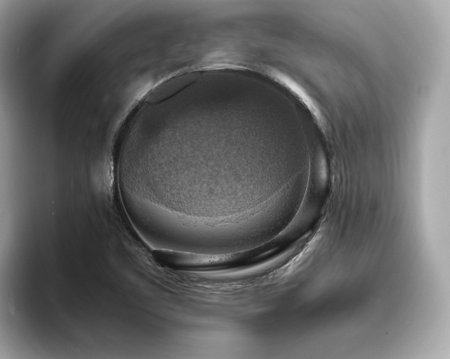 X0000093731461200710161108
