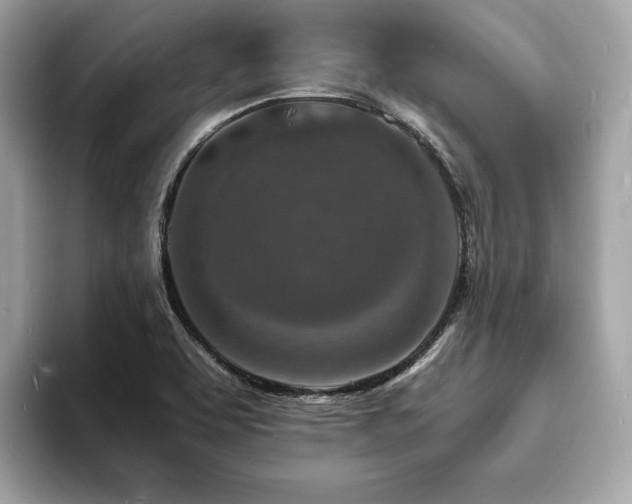 X0000093731463200710161108