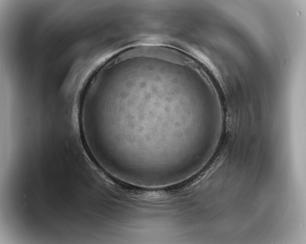 X0000093731464200710161108