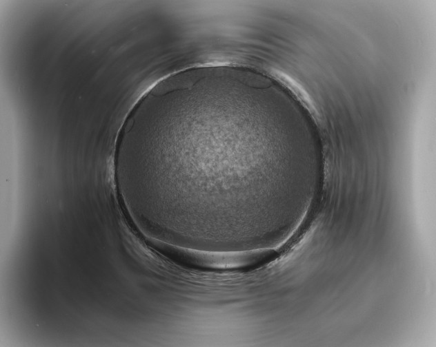 X0000093731465200710161108