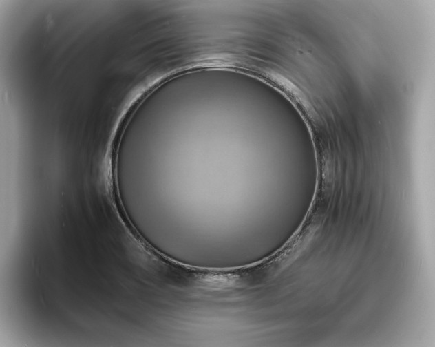 X0000093731466200710161108