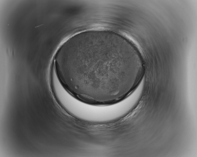 X0000093731467200710161108