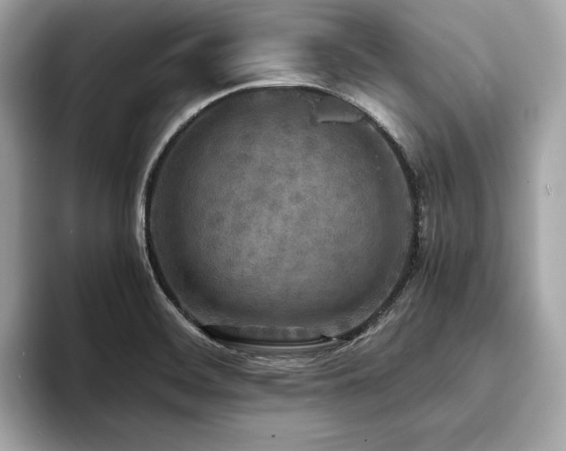 X0000093731468200710161108