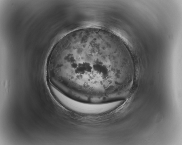 X0000093731471200710161108